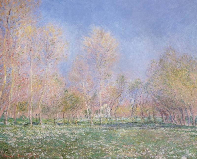 Claude Monet Spring in Giveryny oil painting picture